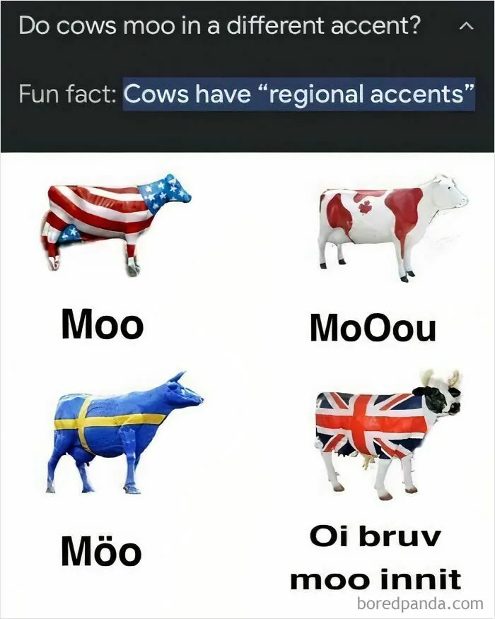 67 Funny British Memes That Show What Makes UK Humor So Uniquely Entertaining