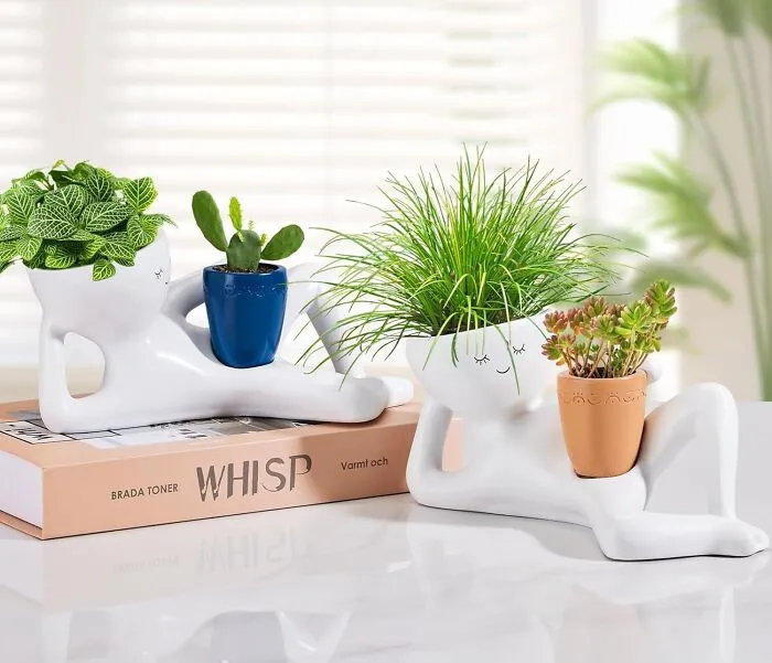 <a Style="Display:inline;" Href="Https://Www.amazon.com/Sederikun-Planters-Succulent-Garden-Drainage/Dp/B0f6d367pf?content-ID=amzn1.sym.3a6fbbbd-497f-4963-9773-14d8cc6a4e5a%3aamzn1.sym.3a6fbbbd-497f-4963-9773-14d8cc6a4e5a&crid=1ijk30ydtq0b&cv_ct_cx=funny%2bplanter&keywords=funny%2bplanter&pd_rd_i=b0f6d367pf&pd_rd_r=54a2f265-A5d0-46f7-Ad9a-940e926314d3&pd_rd_w=donzy&pd_rd_wg=haw4t&pf_rd_p=3a6fbbbd-497f-4963-9773-14d8cc6a4e5a&pf_rd_r=sjx2ccemma7xqdngj7hj&qid=1778072460&s=amazon-Devices&sbo=rzvfv%2f%2fhxdf%2bo5021pansa%3d%3d&sprefix=funny%2bplant%2camazon-Devices%2c322&sr=1-1-383bc08e-F3b5-4928-B079-A9607486ab19-Spons&aref=wqzlmwiyl6&sp_csd=d2lkz2v0tmftzt1zcf9zzwfyy2hfdghlbwf0awm&th=1&linkcode=ll2&tag=bpcow-20&linkid=01daf4159f7b3fc6fb61bb4d801b28ef&language=en_us&ref_=as_li_ss_tl" Target="_blank">  <a Style="Display:inline;" Href=" Https://Www.amazon.com/Sederikun-Planters-Succulent-Garden-Drainage/Dp/B0f6d367pf?content-ID=amzn1.sym.3a6fbbbd-497f-4963-9773-14d8cc6a4e5a%3aamzn1.sym.3a6fbbbd-497f-4963-9773-14d8cc6a4e5a&crid=1ijk30ydtq0b&cv_ct_cx=funny%2bplanter&keywords=funny%2bplanter&pd_rd_i=b0f6d367pf&pd_rd_r=54a2f265-A5d0-46f7-Ad9a-940e926314d3&pd_rd_w=donzy&pd_rd_wg=haw4t&pf_rd_p=3a6fbbbd-497f-4963-9773-14d8cc6a4e5a&pf_rd_r=sjx2ccemma7xqdngj7hj&qid=1778072460&s=amazon-Devices&sbo=rzvfv%2f%2fhxdf%2bo5021pansa%3d%3d&sprefix=funny%2bplant%2camazon-Devices%2c322&sr=1-1-383bc08e-F3b5-4928-B079-A9607486ab19-Spons&aref=wqzlmwiyl6&sp_csd=d2lkz2v0tmftzt1zcf9zzwfyy2hfdghlbwf0awm&th=1&linkcode=ll2&tag=bpcow-20&linkid=01daf4159f7b3fc6fb61bb4d801b28ef&language=en_us&ref_=as_li_ss_tl" Target="_blank"> Mom's Succulents Have Never Looked So Cheeky As They Do Poking Out Of This <span Style="Font: Inherit; Color: #d74b1f;"> Naughty Planter </Span> That Will Absolutely Become The First Thing Guests Notice When They Walk In