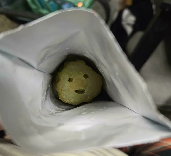 I Opened A Pack Of Pickles And Was Greeted By This Pickle