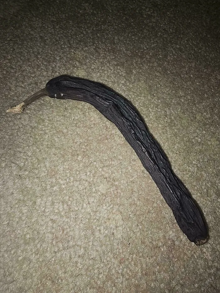 This "Petrified" Banana That I've Now Had For 6 Years
