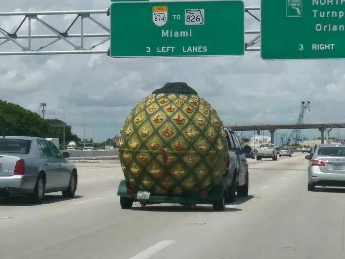 SpongeBob Is Moving Because Of The Hurricane