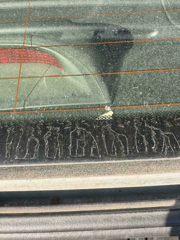 These Water Stains On My Car Look Like Gorillas