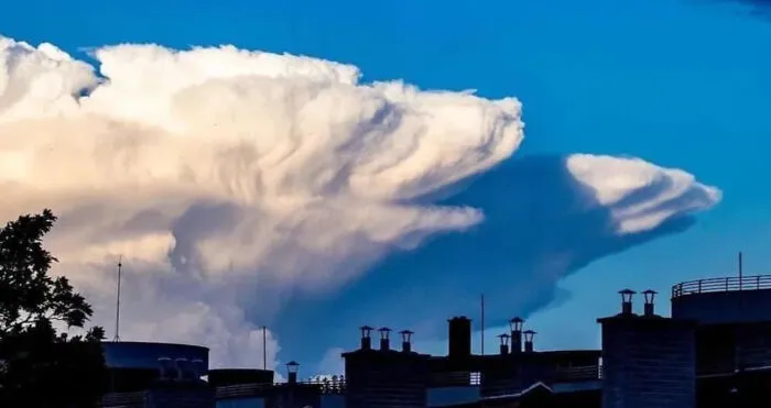 I See A Stoned Bear Waving