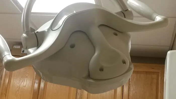Happy Water Buffalo At The Dentist