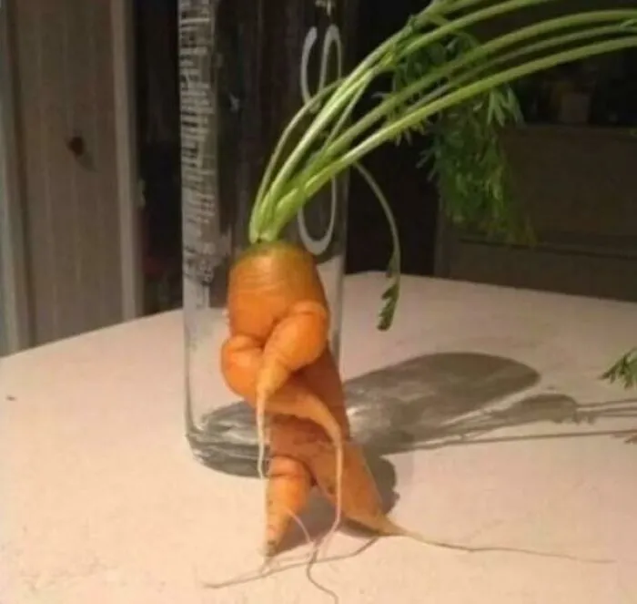Carrot 'Bout To Drop The Healthiest Verse Of All Time