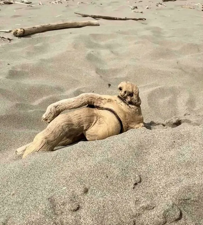 Drift Sloth Wants To Be Painted Like One Of Your French Girls