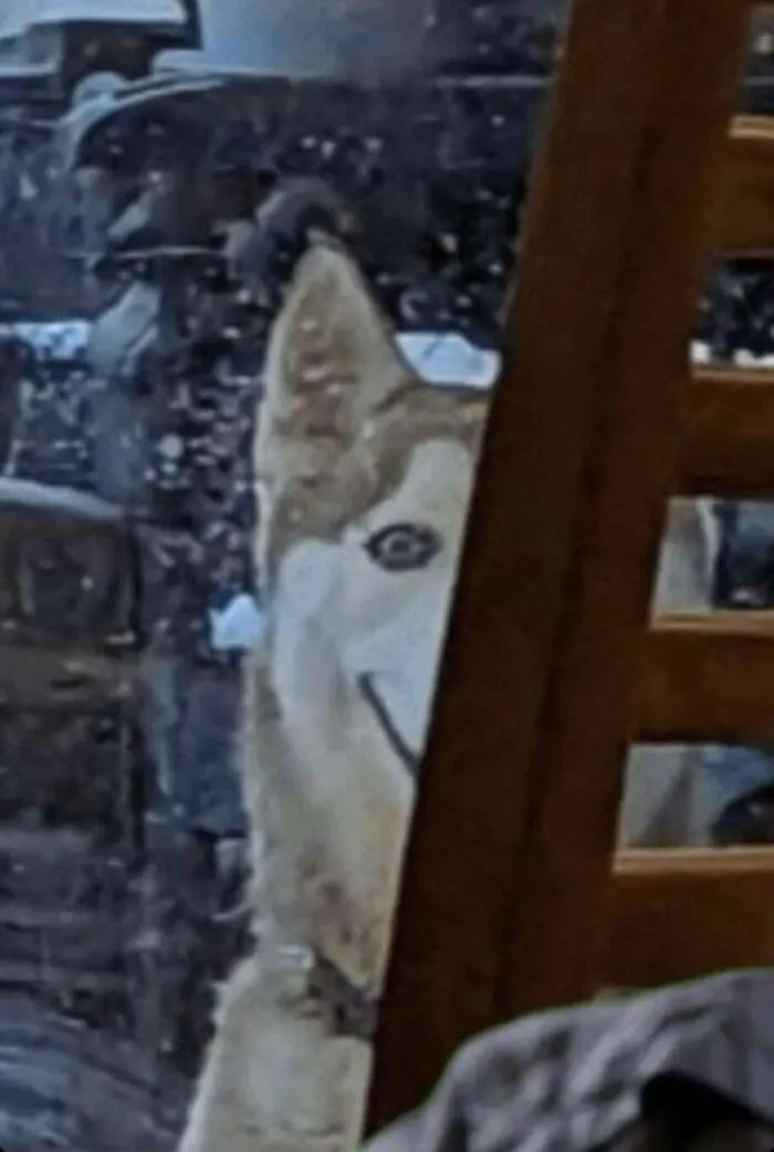 Does Anyone Know The Source/Orgin Or Have Any Info On The “Creepy Husky Image”?