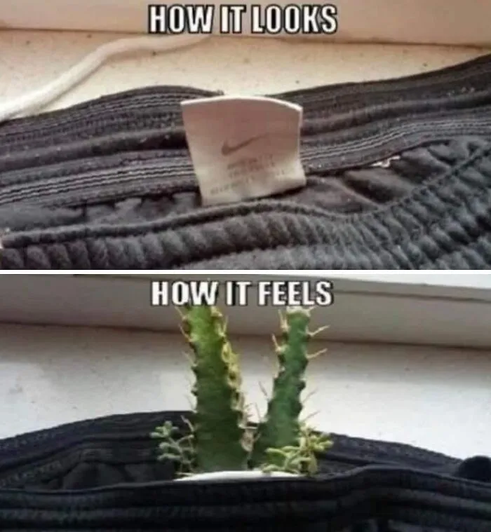 41 Memes That Are So Chaotic They Might Make You Forget What You Were Doing After You Stop Laughing