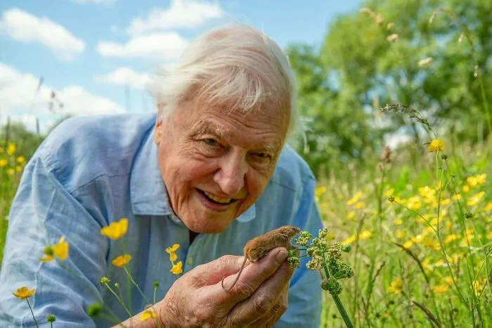 David Attenborough Spent Over 70 Years Teaching Humanity About Earth — And Recently Turned 100