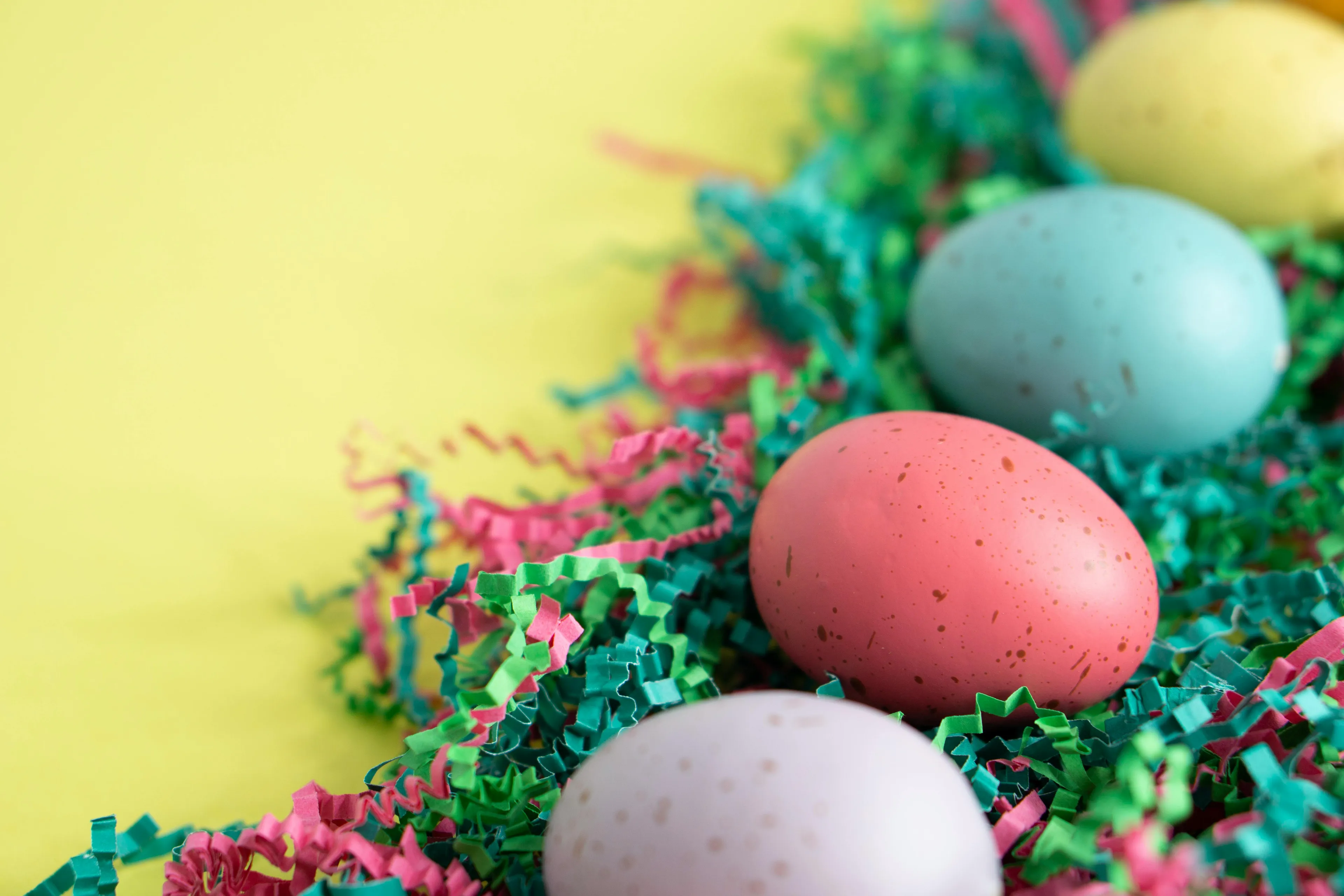 Colorful speckled Easter eggs nestled in festive shredded paper on a bright yellow background, representing the Easter holiday.