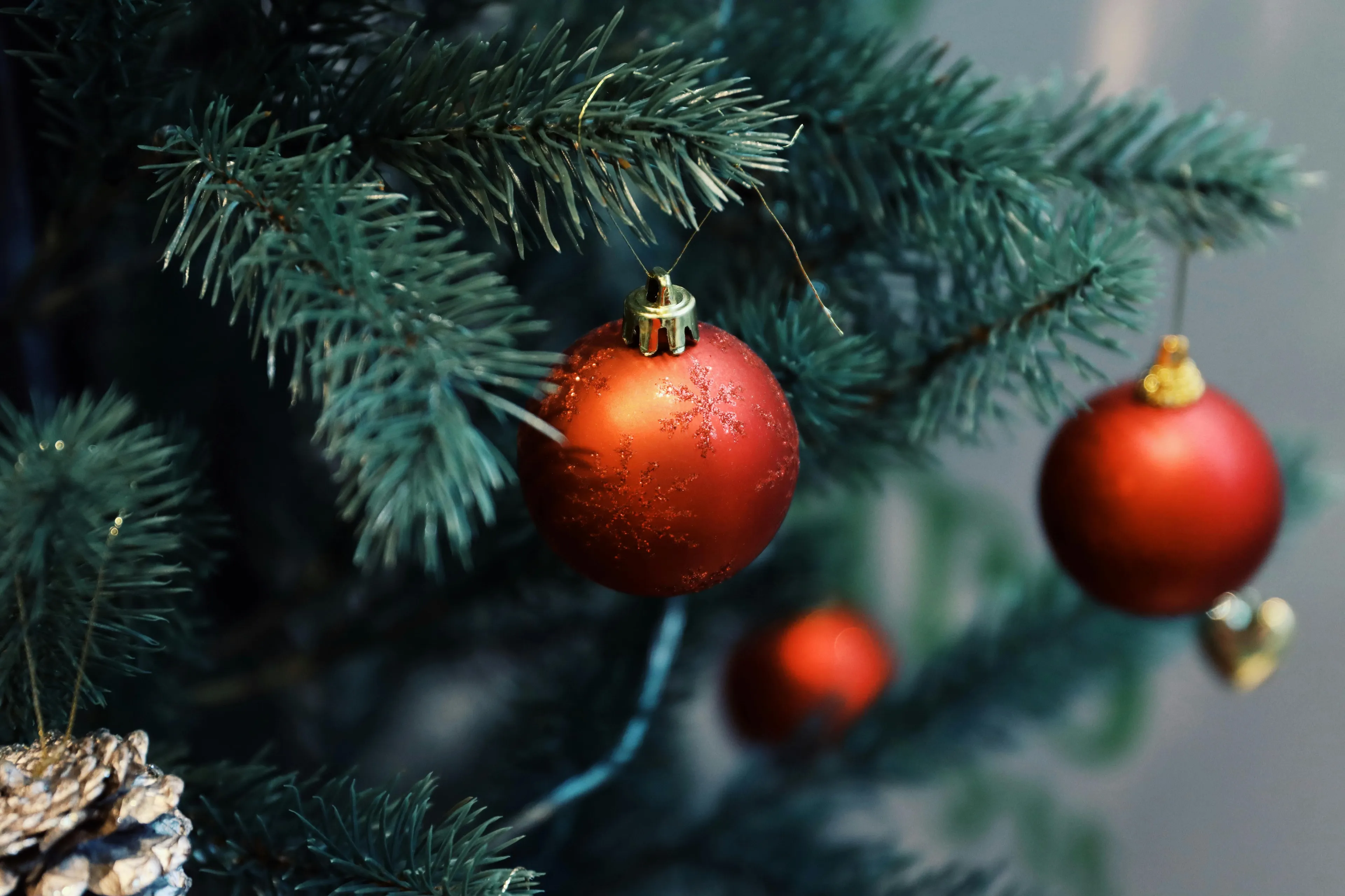 Christmas tree branch with festive red ornaments and a pinecone, creating a holiday atmosphere.