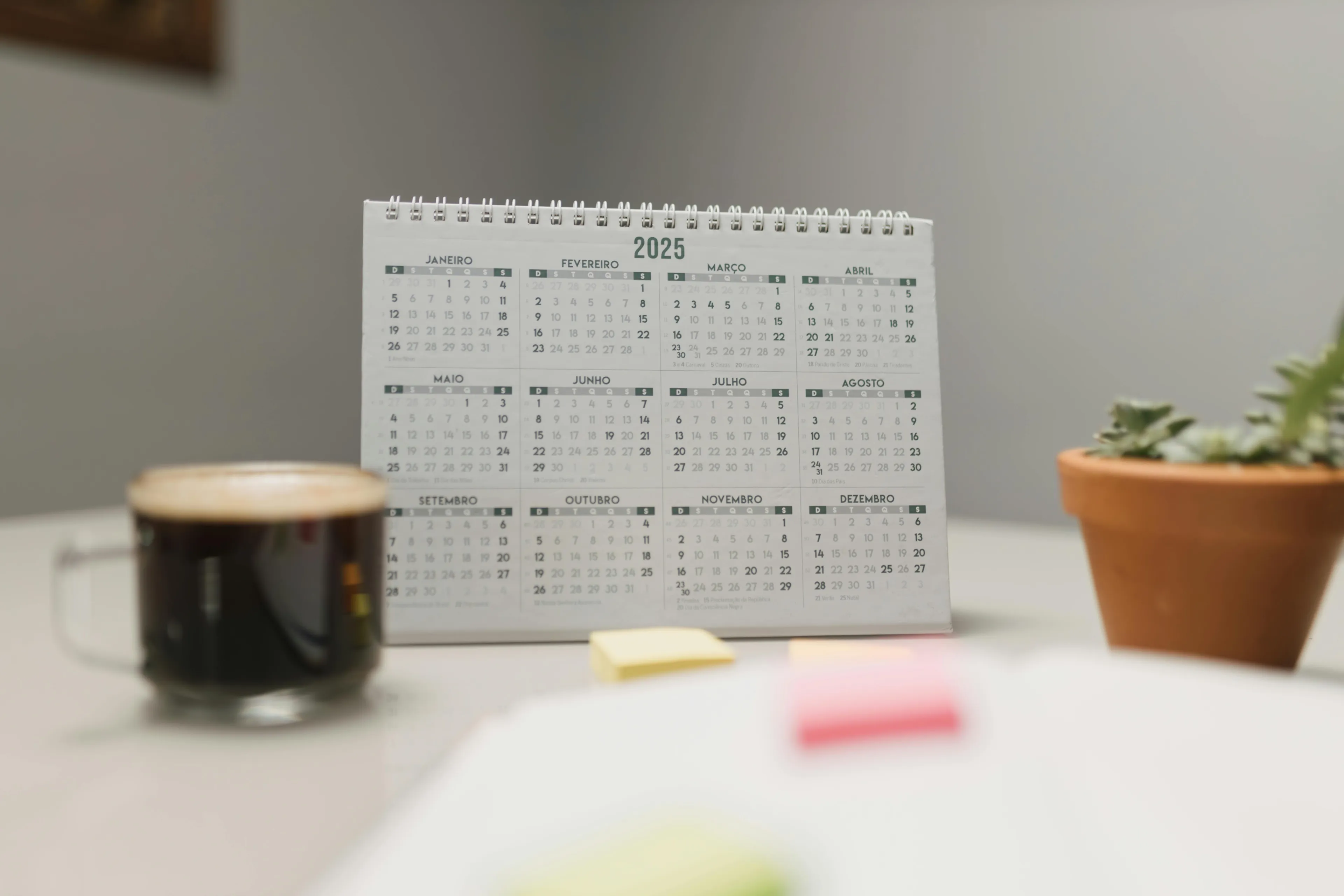 A 2025 desk calendar sits between a coffee mug and a potted succulent. What's your first impression? Pick your spirit weekday.
