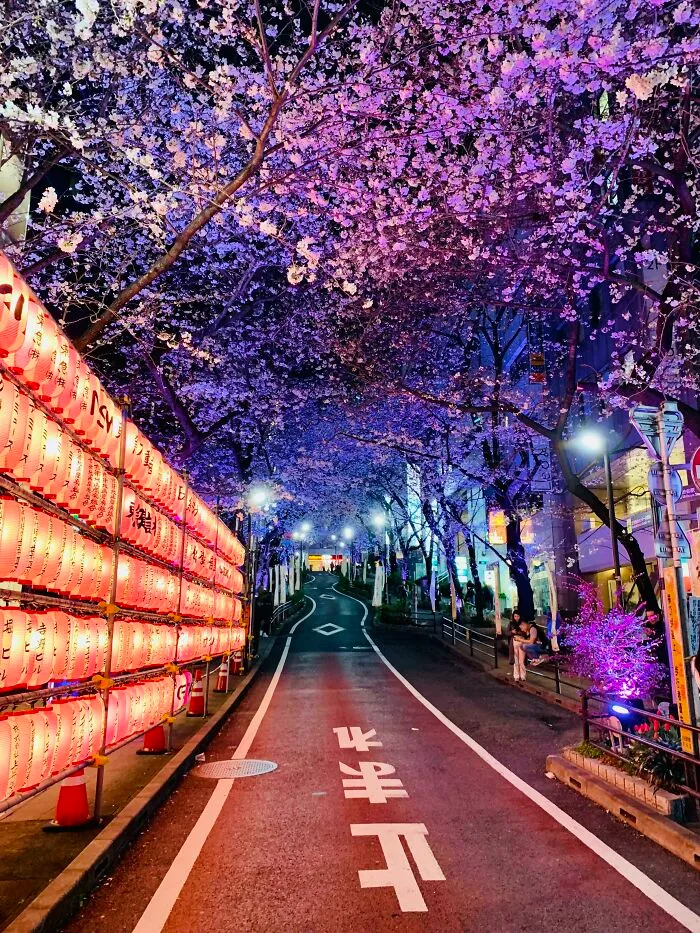 Took This On A Street Just Off Shibuya Last Night - Had To Stop On The Crossing, But I Feel It Was Worth It