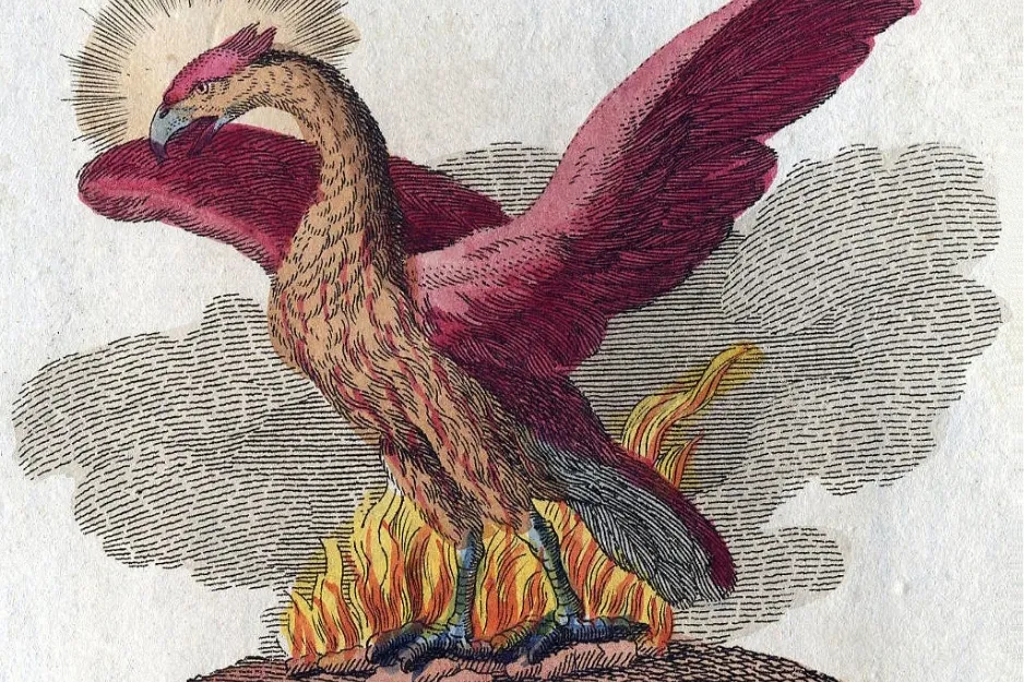 An ancient illustration of a phoenix, a mythical bird, rising from flames with fiery wings and a glowing head.
