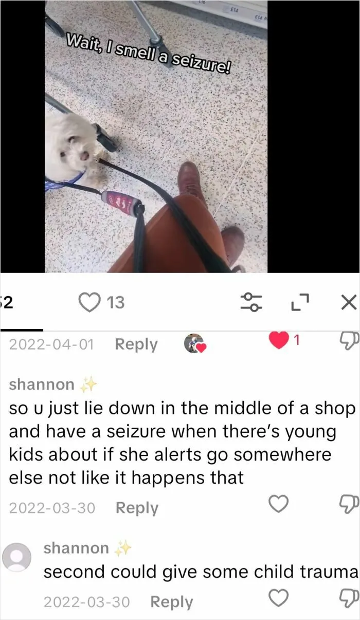 "Don't Have A Seizure In Public, It Will Traumatise Children"