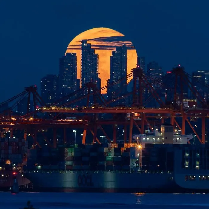 Strawberry Moon Over Port Of Vancouver - The Moon Rise Last Night Was Not A Disappointment. At Ambleside Park