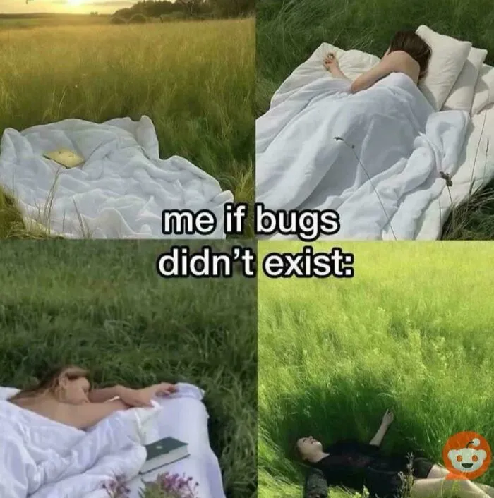 It Do Be Like That