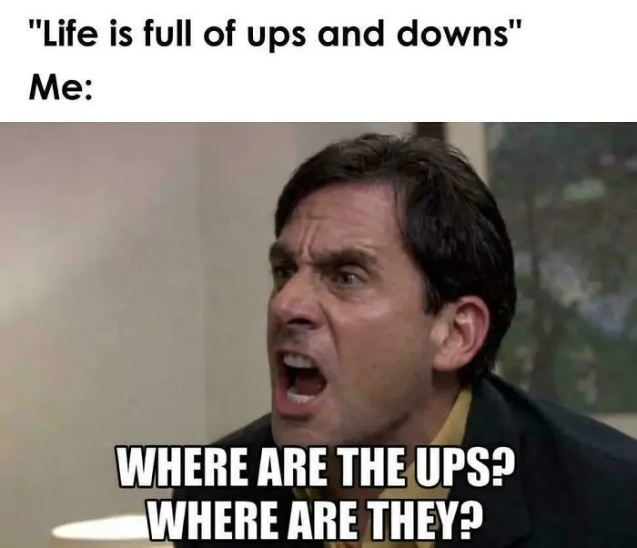 Where Are They