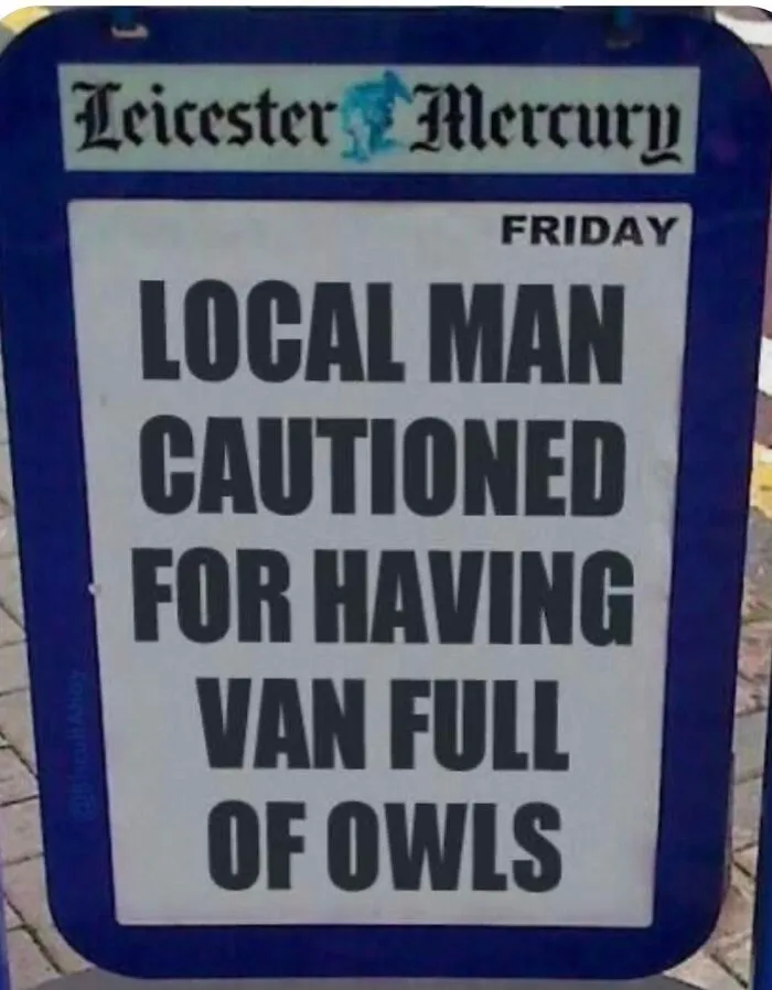 74 Funny Newspaper Headlines That Make You Wonder If The World Is Going Mad