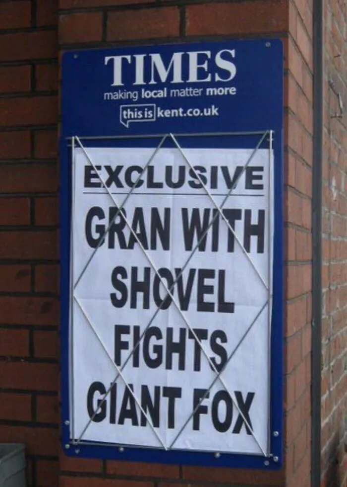 74 Funny Newspaper Headlines That Make You Wonder If The World Is Going Mad