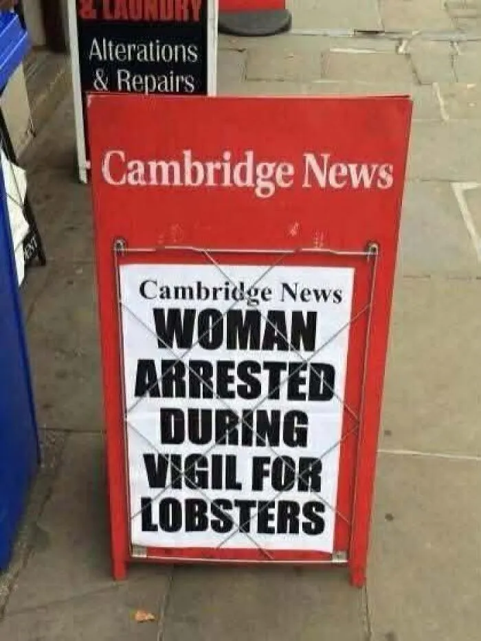 74 Funny Newspaper Headlines That Make You Wonder If The World Is Going Mad