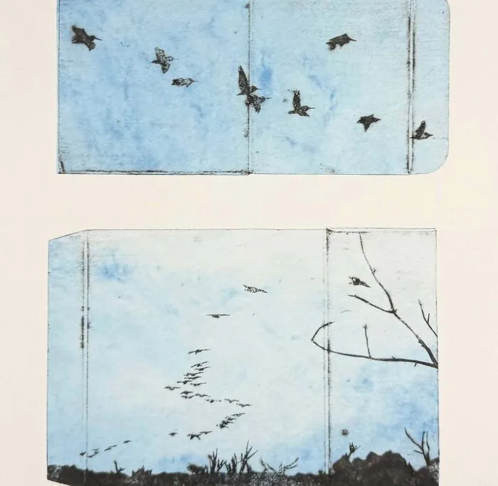 Dual Flight