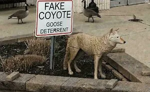 “How Do You Mess Up This Bad”: 81 People Who Had One Job Yet Managed To Still Fail (New Pics)