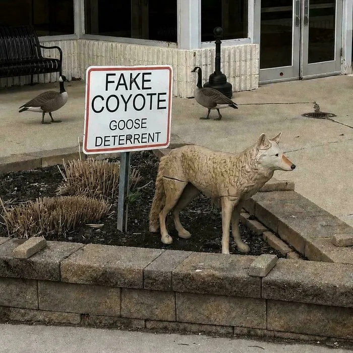 For Who Is This Sign?