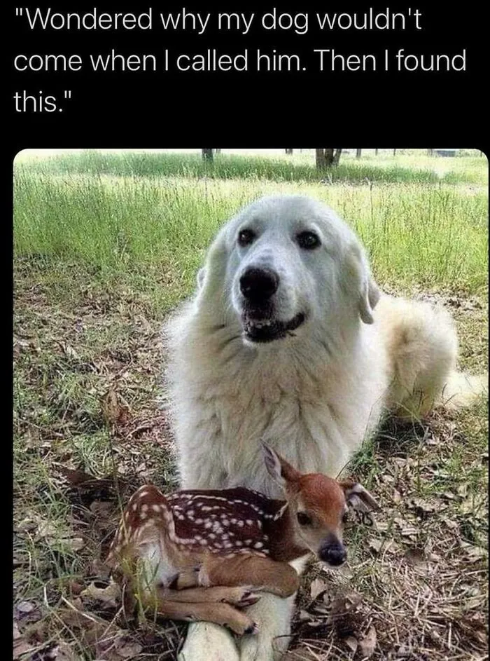 If You Are Feeling Down, These 83 Positive Posts Might Make Your Day