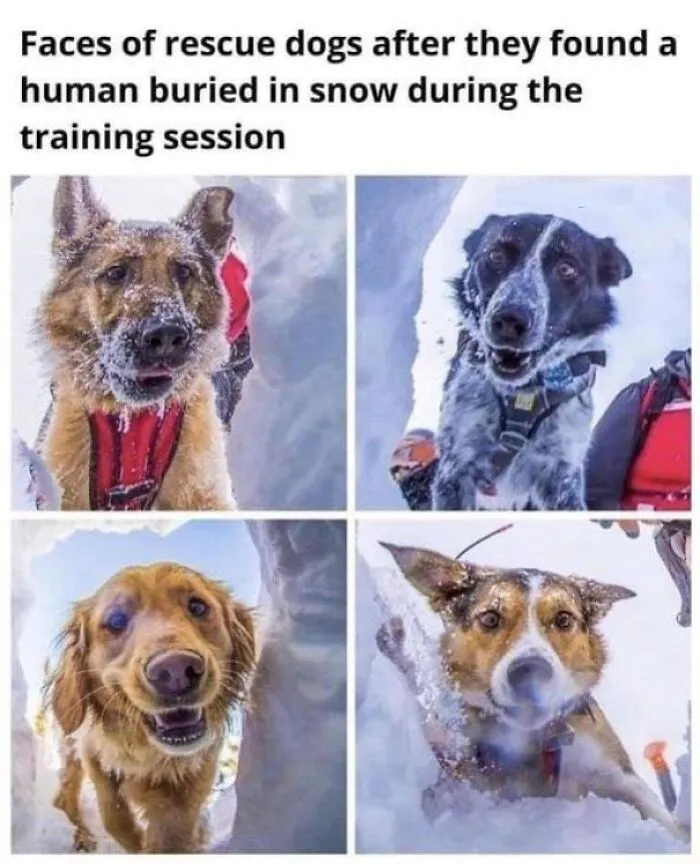 If You Are Feeling Down, These 83 Positive Posts Might Make Your Day