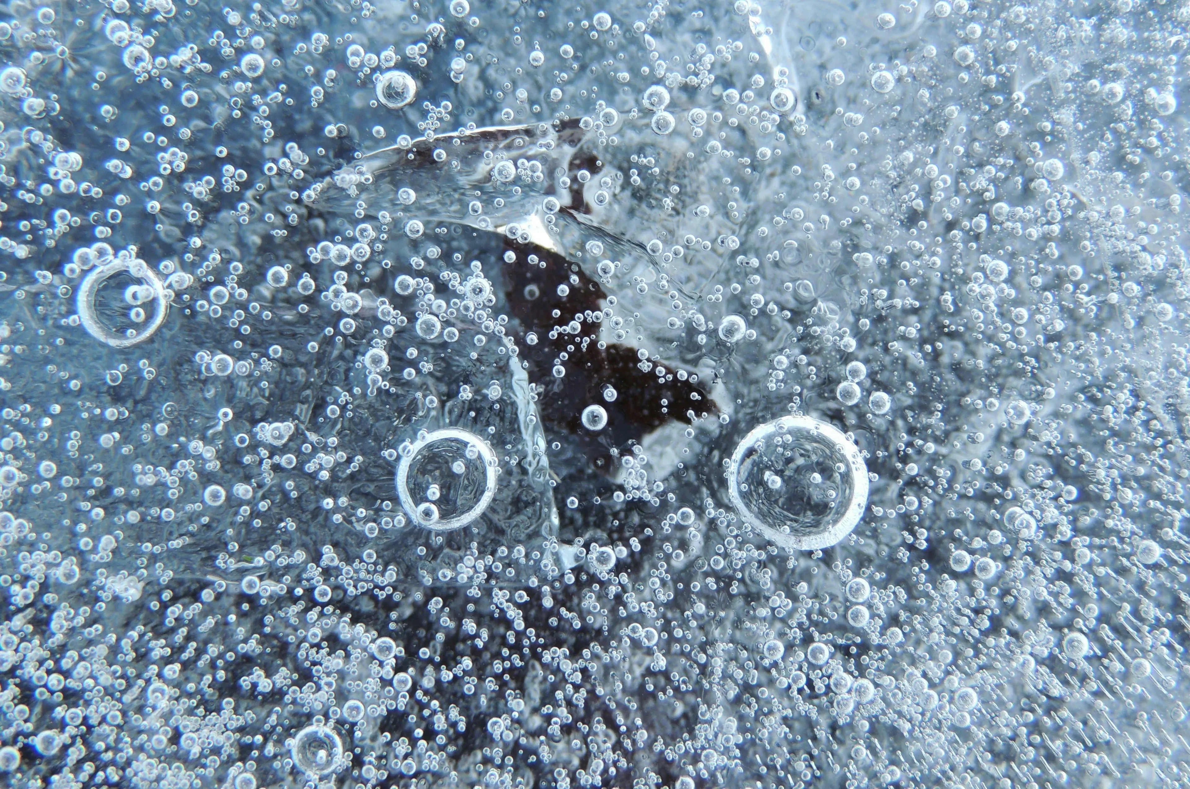 Real Or Fake Trivia: close-up of water bubbles trapped in ice, illustrating solid, liquid, and gas phases simultaneously.