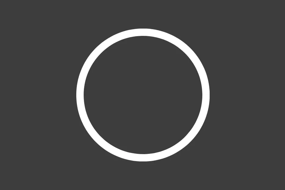 White circle symbol against a dark gray background, commonly meaning Do Not Bleach in laundry care instructions.