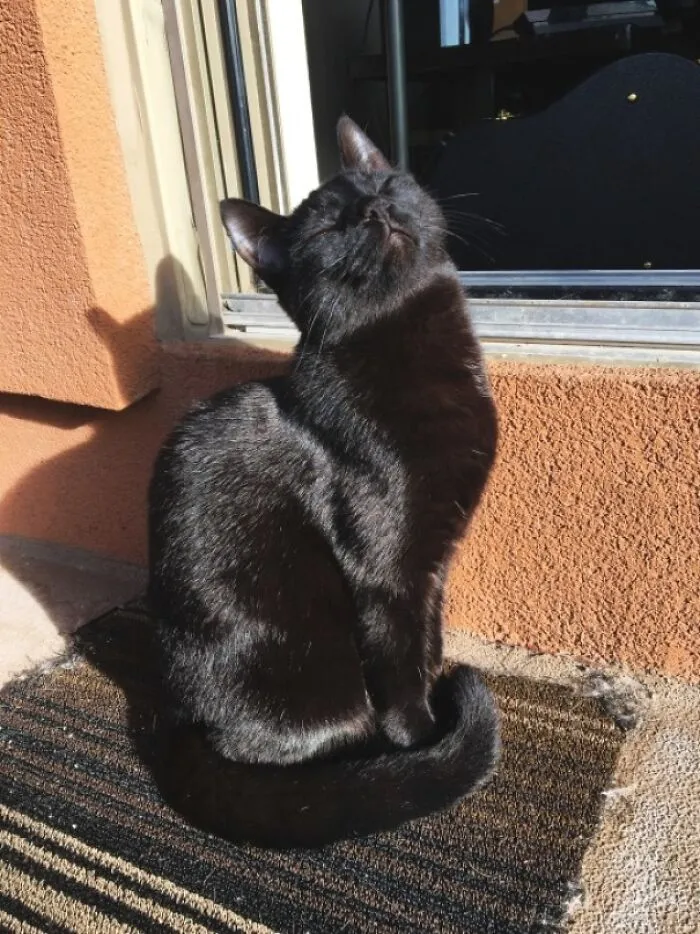 Sunbathing With Pride