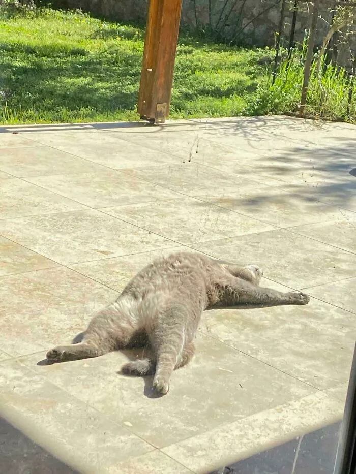 Sunbathing Vibes
