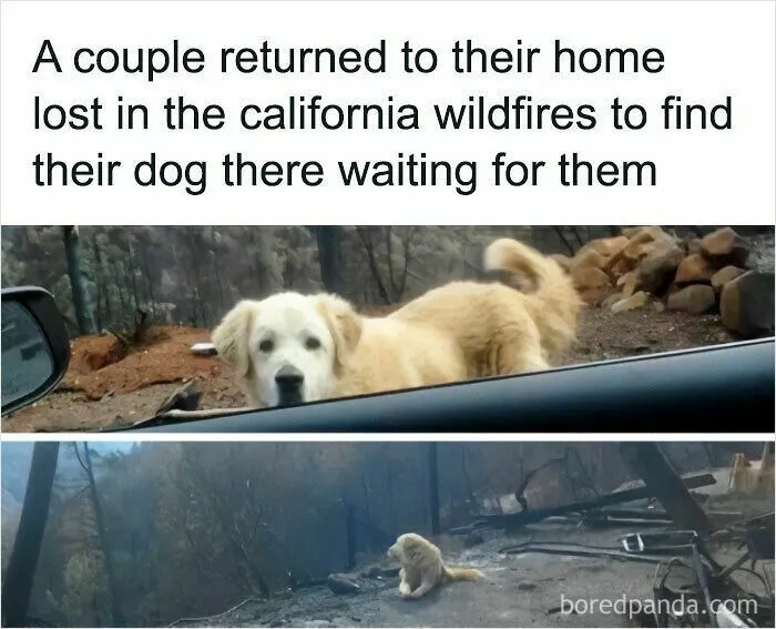 If You Are Feeling Down, These 83 Positive Posts Might Make Your Day