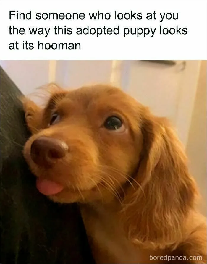 If You Are Feeling Down, These 83 Positive Posts Might Make Your Day
