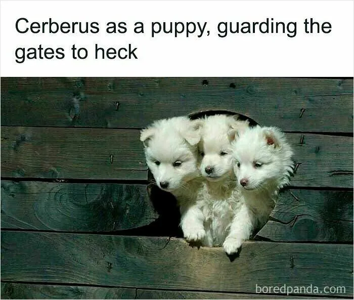 If You Are Feeling Down, These 83 Positive Posts Might Make Your Day