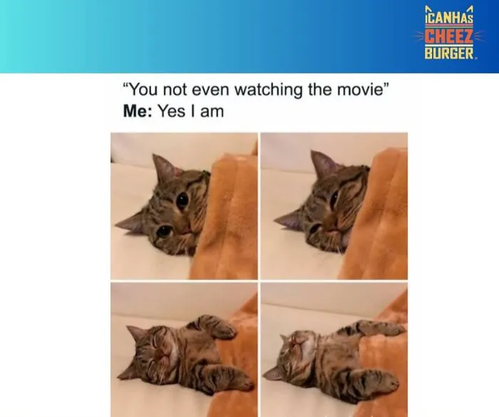 41 Of The Funniest And Cutest Cat Posts Shared By This Page (New Pics)