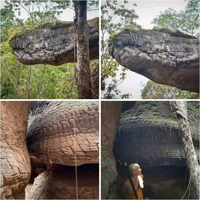 Cave In Thailand Looks Like A Giant Petrified Snake