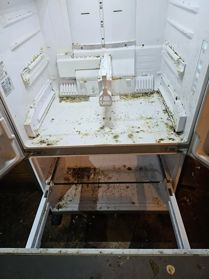 37 Horrifying Restaurant Stories Shared By Health Inspectors