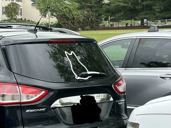 The Rear Windshield Wiper On This Car Is The Tail Of The Cat, And It Wags When The Wiper Is On
