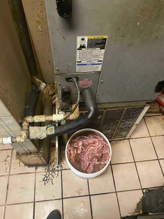 37 Horrifying Restaurant Stories Shared By Health Inspectors