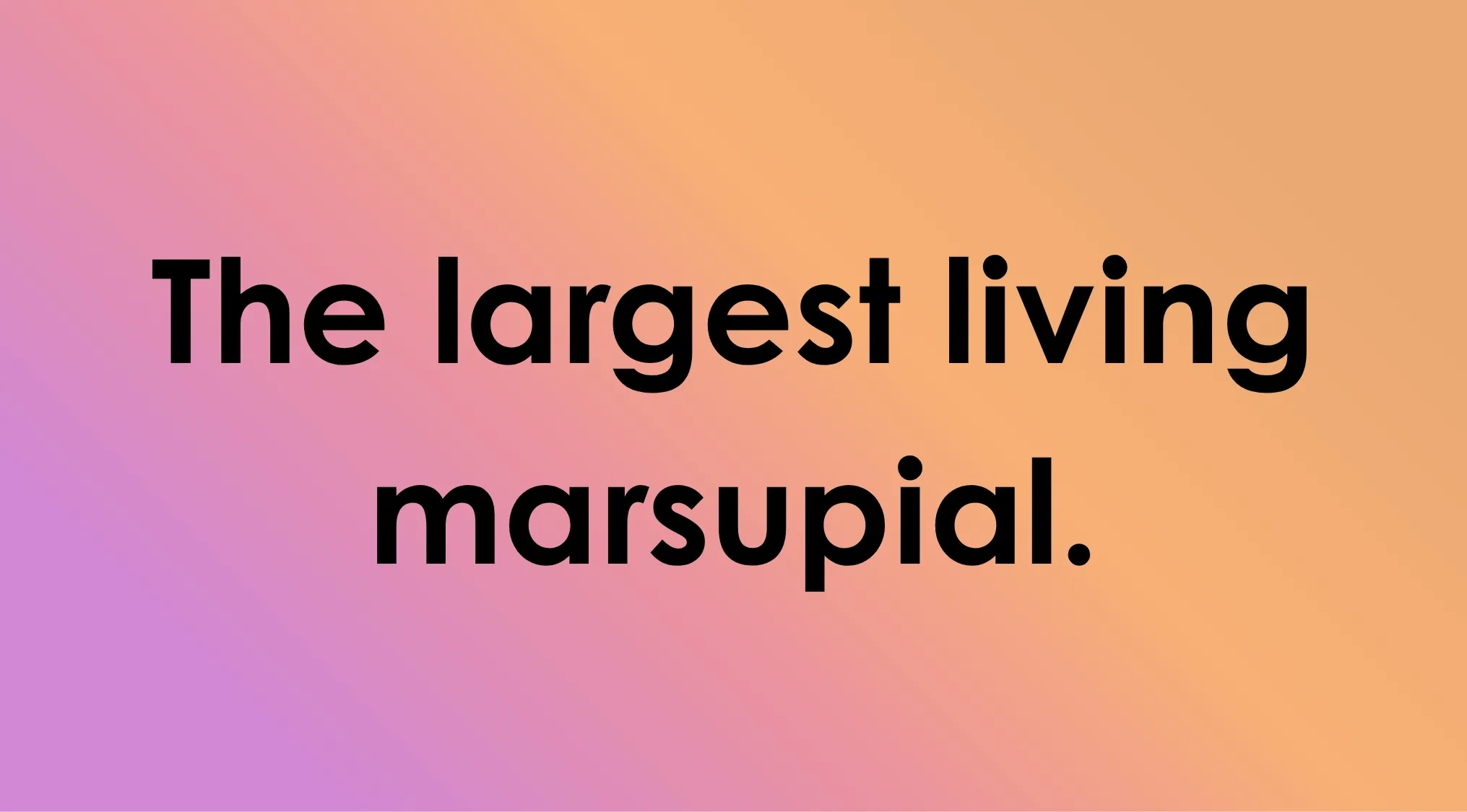 A trivia question, What animal is described here?, on a gradient background: The largest living marsupial.