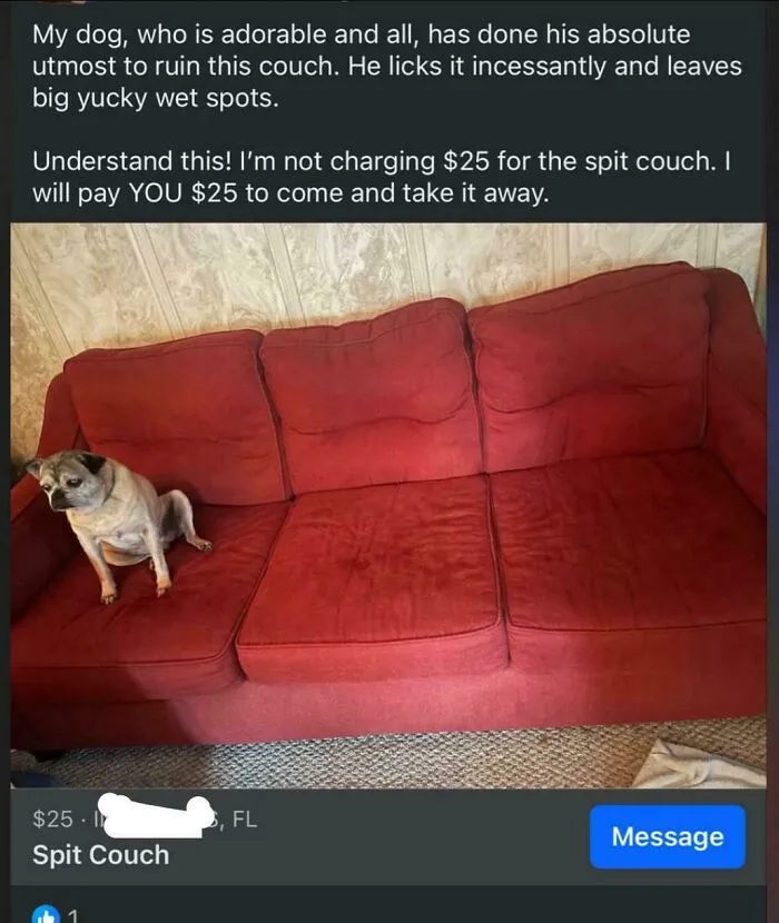 I’ve Waited So Long To Stumble Upon A Facebook Marketplace Wacky Item In My Town- And Tonight I Was Blessed