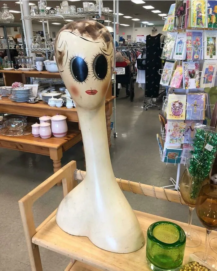 I Felt It Staring At Me From Across The Thrift Shop