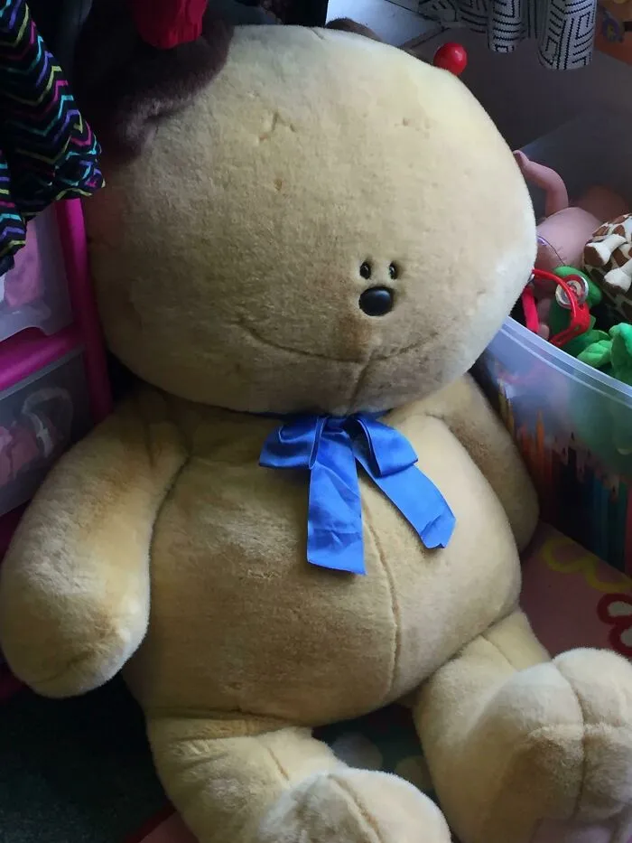 This Bear’s Face Disturbed Me So Much
