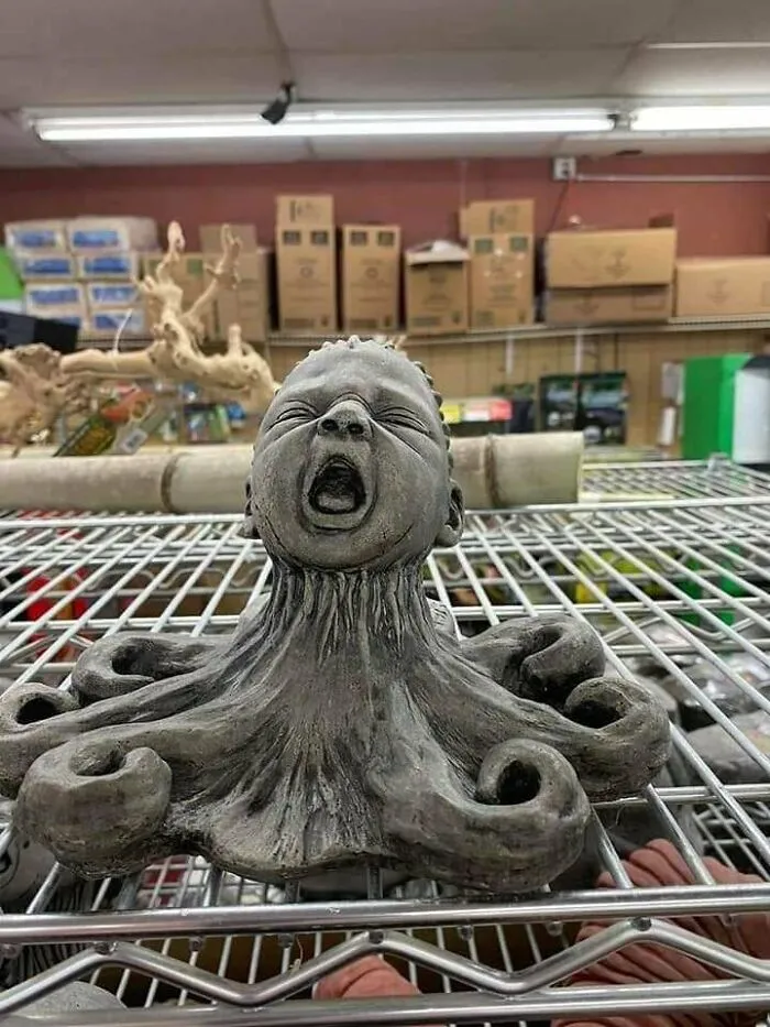 Ah Yes, The Perfect Decor For My Aquarium