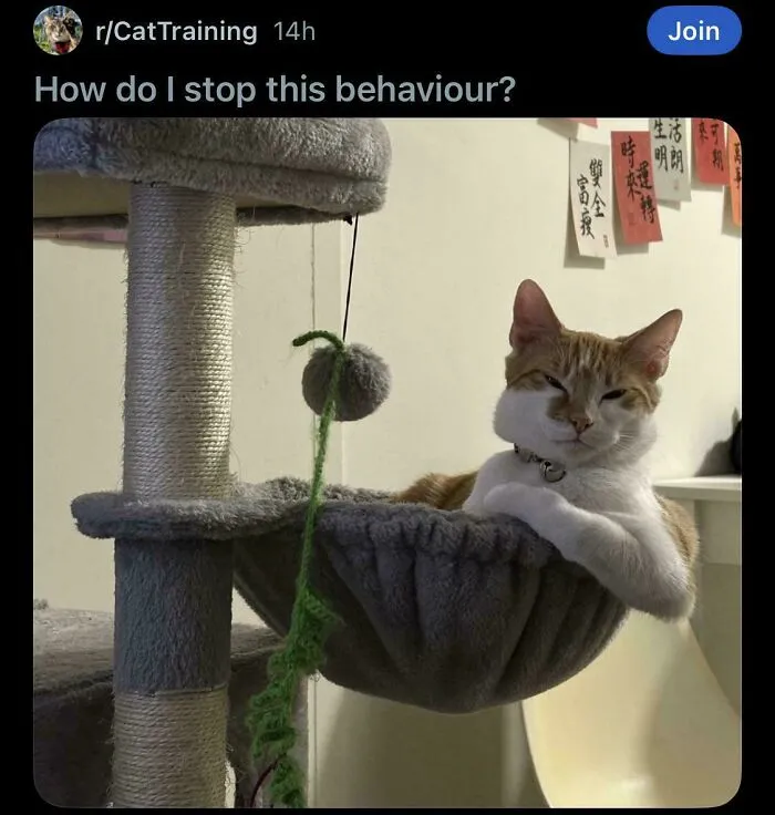 Dumb People Have Access To The Internet Too And Posted These 61 Hilarious Posts