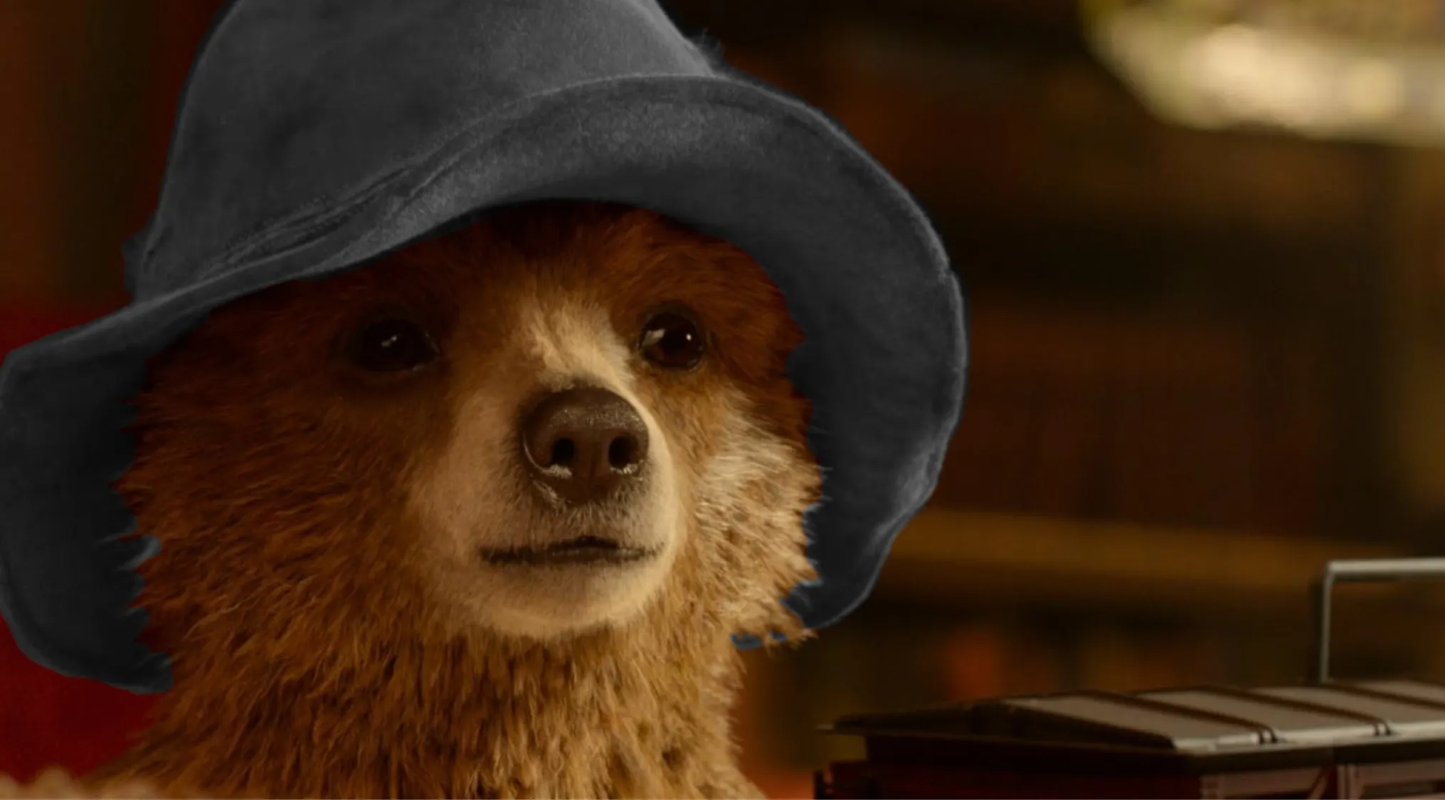 An image showing Paddington with a grey hat