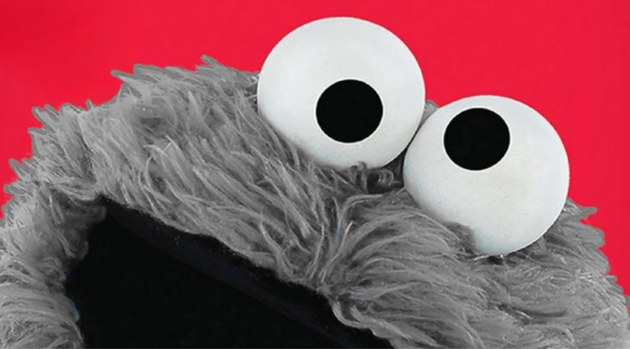 An image showing the greyed out cookie monster for the guess the color quiz